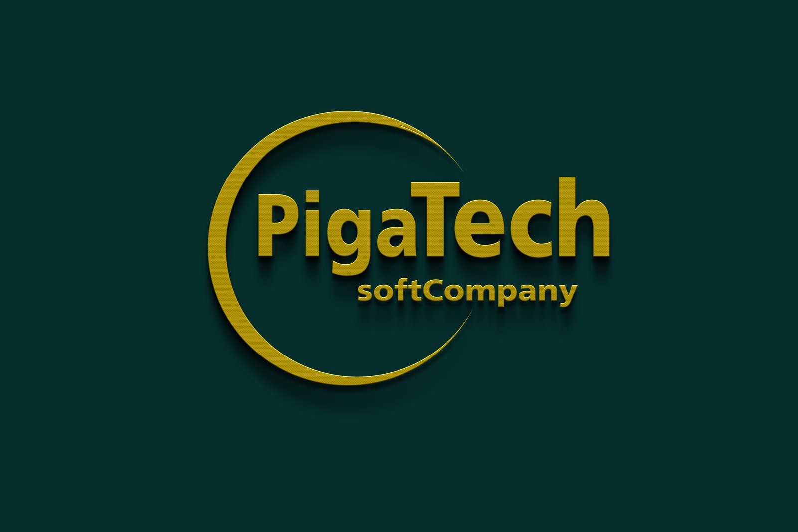 PigaTech Team working together